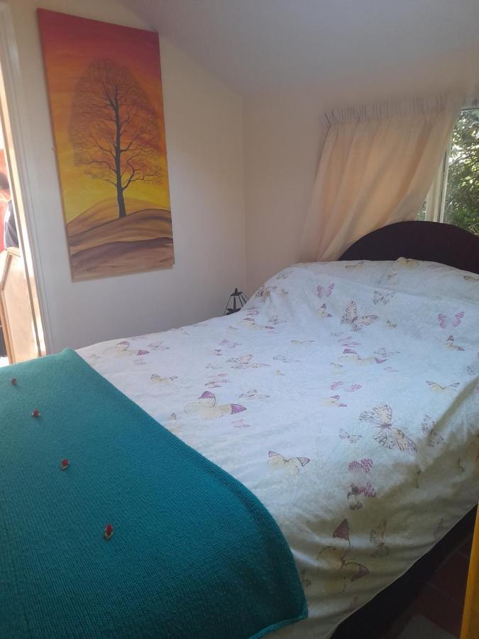 Janet Hale Studios, Garden Apartment Glastonbury Extérieur photo