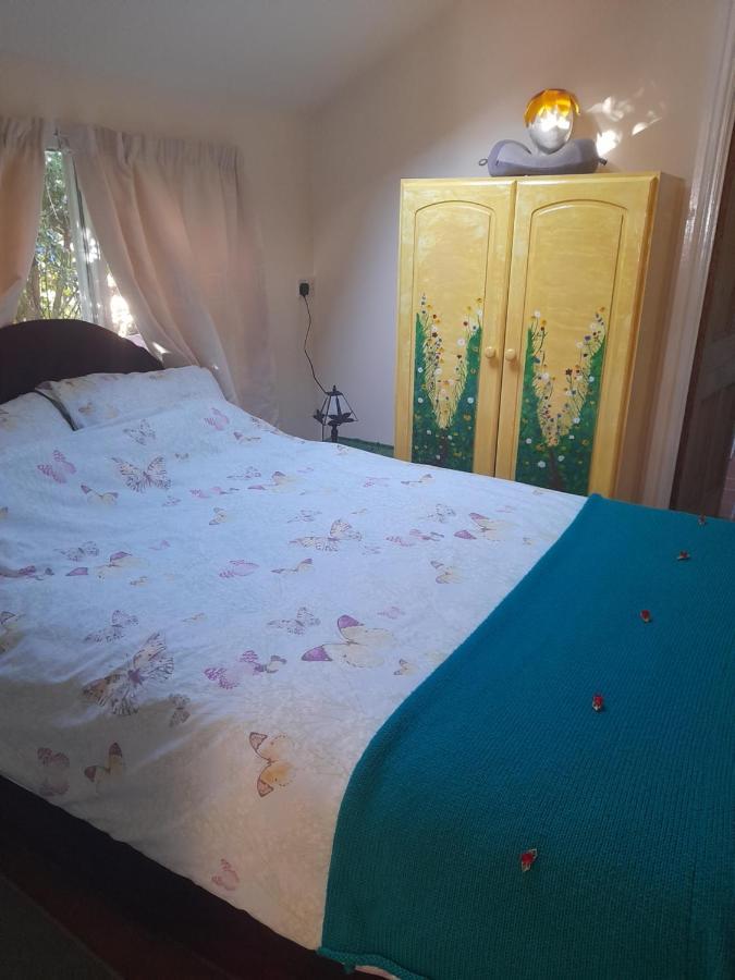 Janet Hale Studios, Garden Apartment Glastonbury Extérieur photo